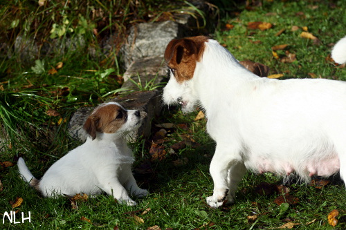 120920_inka bolt2.jpg - Bolt & Inka